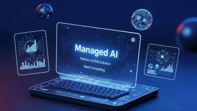 The future of Europe's artificial intelligence pioneer Mistral remains uncertain.
